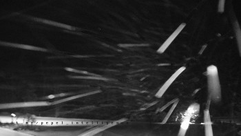 Horský hotel Čarták na Soláni