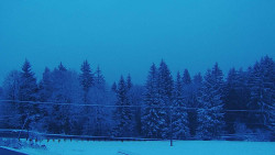 Panorama Javorníků