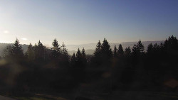 Panorama Javorníků