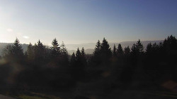 Panorama Javorníků