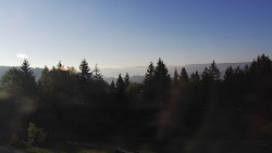 Panorama Javorníků