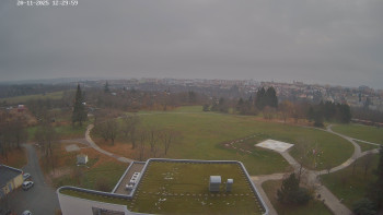 Snímek    20.11.2025 v 12:30