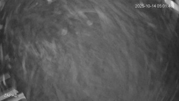 Snímek    14.10.2025 v 05:01