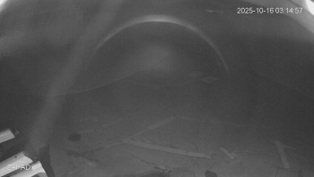 Snímek    16.10.2025 v 03:15