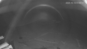 Snímek    16.10.2025 v 03:45