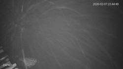 Provozní plocha - západ