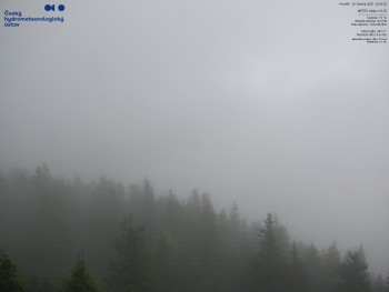 Snímek    16.6.2025 v 16:30