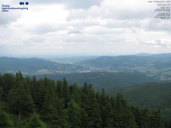 Snímek    13.7.2025 v 12:30
