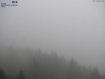 Snímek    15.10.2025 v 11:30