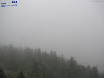 Snímek    18.10.2025 v 10:45