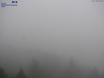 Snímek    22.10.2025 v 09:45