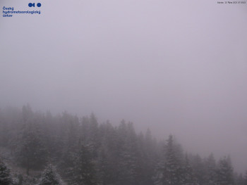 Snímek    25.10.2025 v 07:45