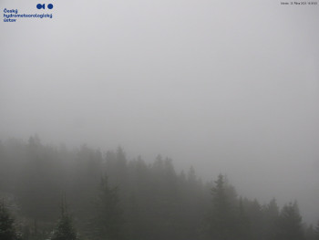 Snímek    25.10.2025 v 16:45