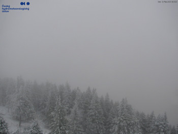 Snímek    28.10.2025 v 08:30