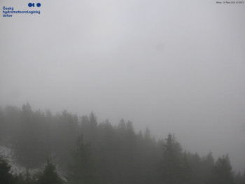 Snímek    29.10.2025 v 08:00