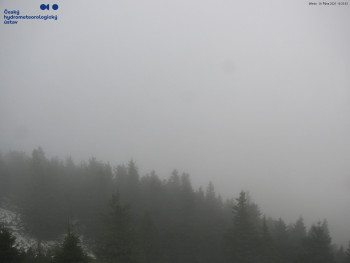 Snímek    29.10.2025 v 10:30