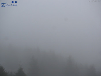 Snímek    29.10.2025 v 12:00