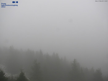 Snímek    29.10.2025 v 12:45