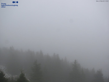 Snímek    29.10.2025 v 13:00