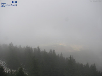 Snímek    29.10.2025 v 14:00