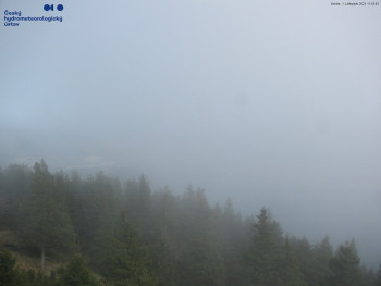 Snímek    1.11.2025 v 12:00