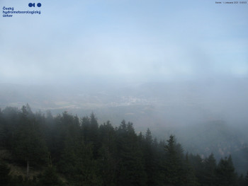 Snímek    1.11.2025 v 13:15