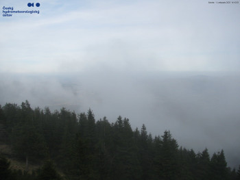 Snímek    1.11.2025 v 14:15