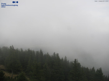 Snímek    1.11.2025 v 15:15