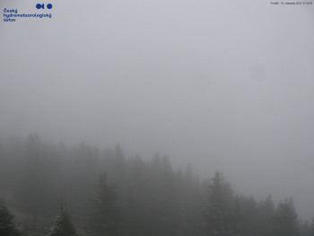 Snímek    10.11.2025 v 07:45