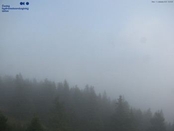 Snímek    11.11.2025 v 10:30