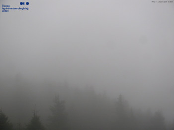 Snímek    11.11.2025 v 15:30