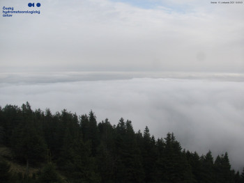 Snímek 15.11.2025 v 10:15