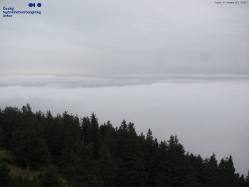 Snímek 15.11.2025 v 11:00