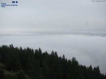 Snímek 15.11.2025 v 11:45