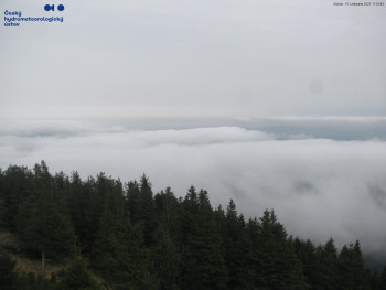 Snímek 15.11.2025 v 12:00