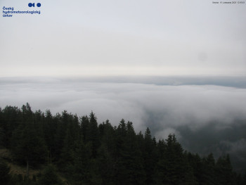 Snímek 15.11.2025 v 13:00