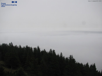 Snímek 15.11.2025 v 14:00