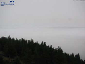 Snímek 15.11.2025 v 14:30