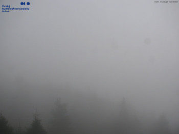 Snímek 16.11.2025 v 09:15