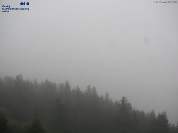 Snímek 17.11.2025 v 11:15