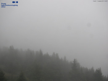 Snímek 17.11.2025 v 12:45