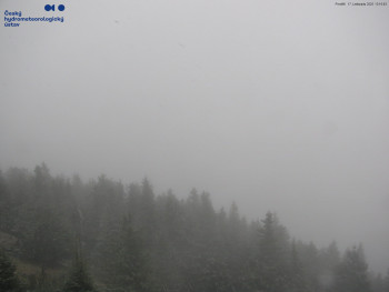 Snímek 17.11.2025 v 13:15