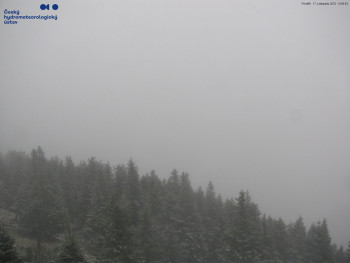 Snímek 17.11.2025 v 13:45