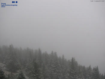 Snímek 17.11.2025 v 14:45