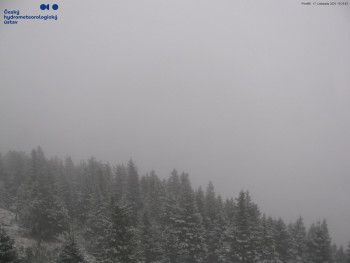 Snímek 17.11.2025 v 15:30