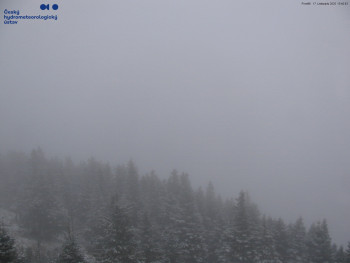 Snímek 17.11.2025 v 15:45