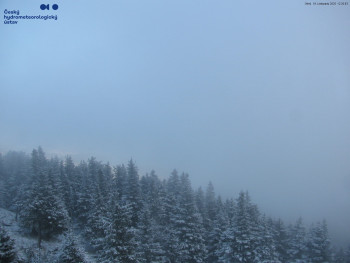 Snímek 18.11.2025 v 12:30