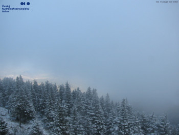 Snímek 18.11.2025 v 13:15