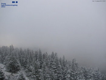 Snímek    18.11.2025 v 15:00