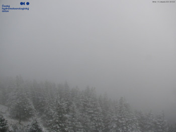 Snímek    19.11.2025 v 09:15